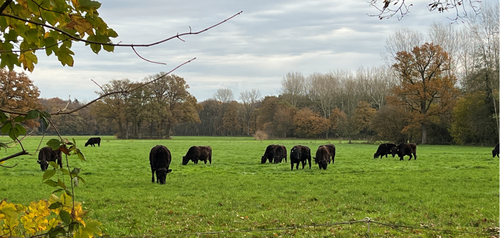Event coverfoto - Vakgroep BR 11-11-2026