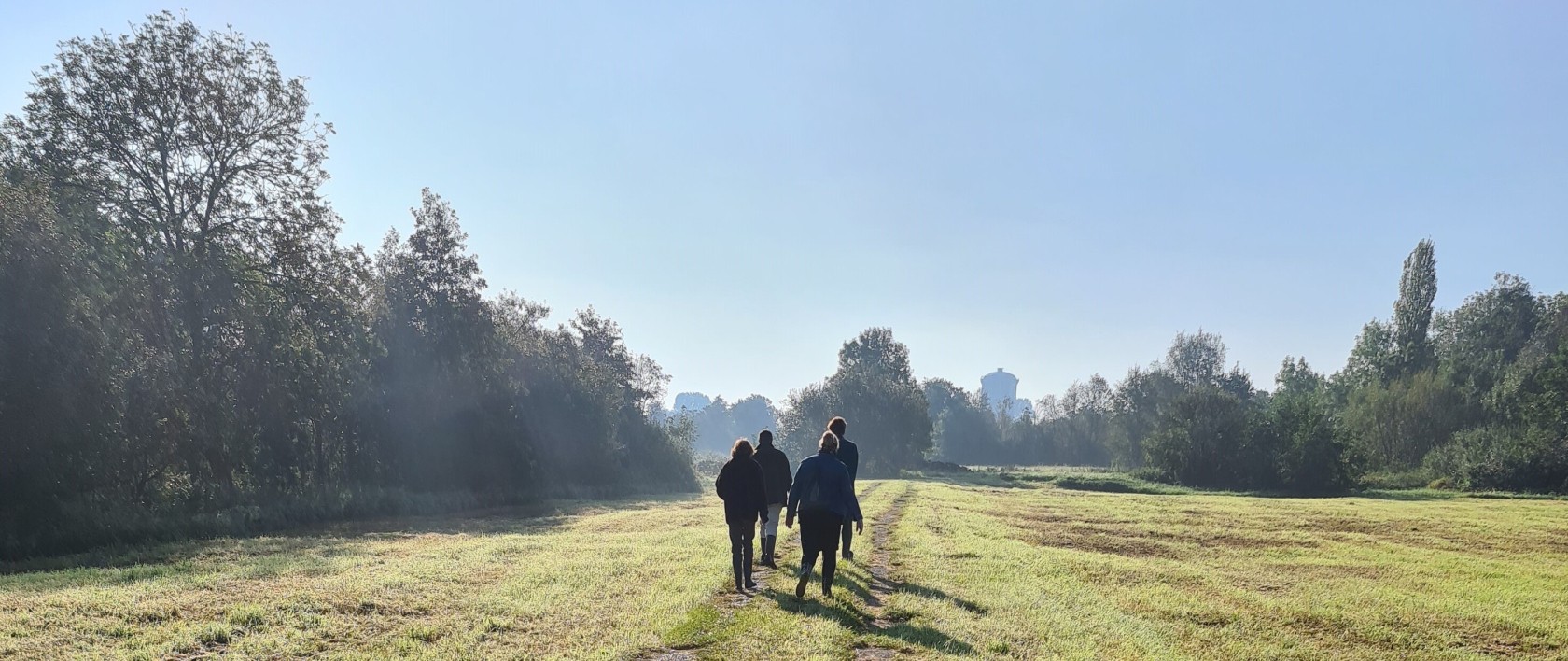 Foto landschap