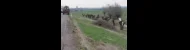 thumb_2t5xkmgn.png.webp