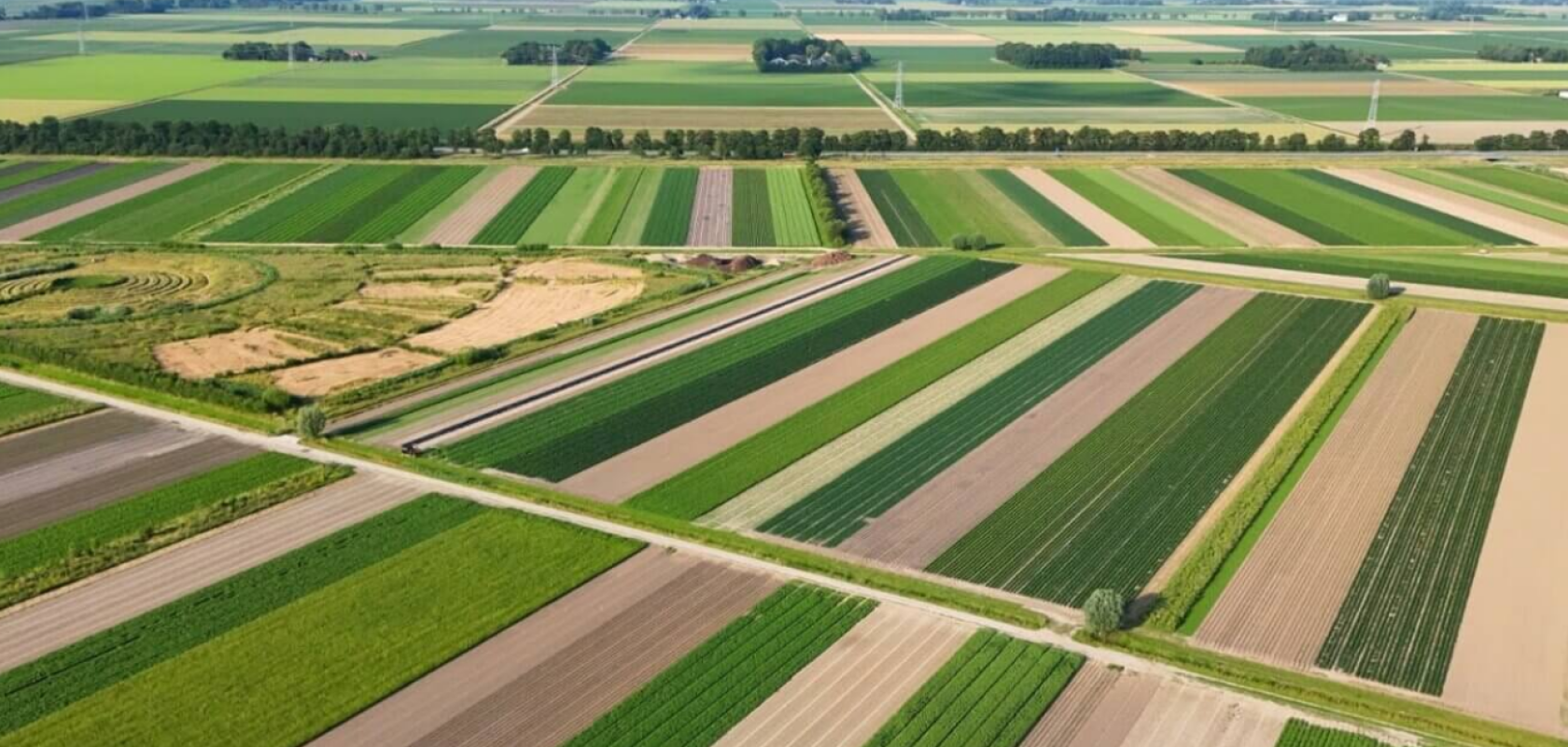 Event coverfoto - No Shit boerderij Zonnegoed.png