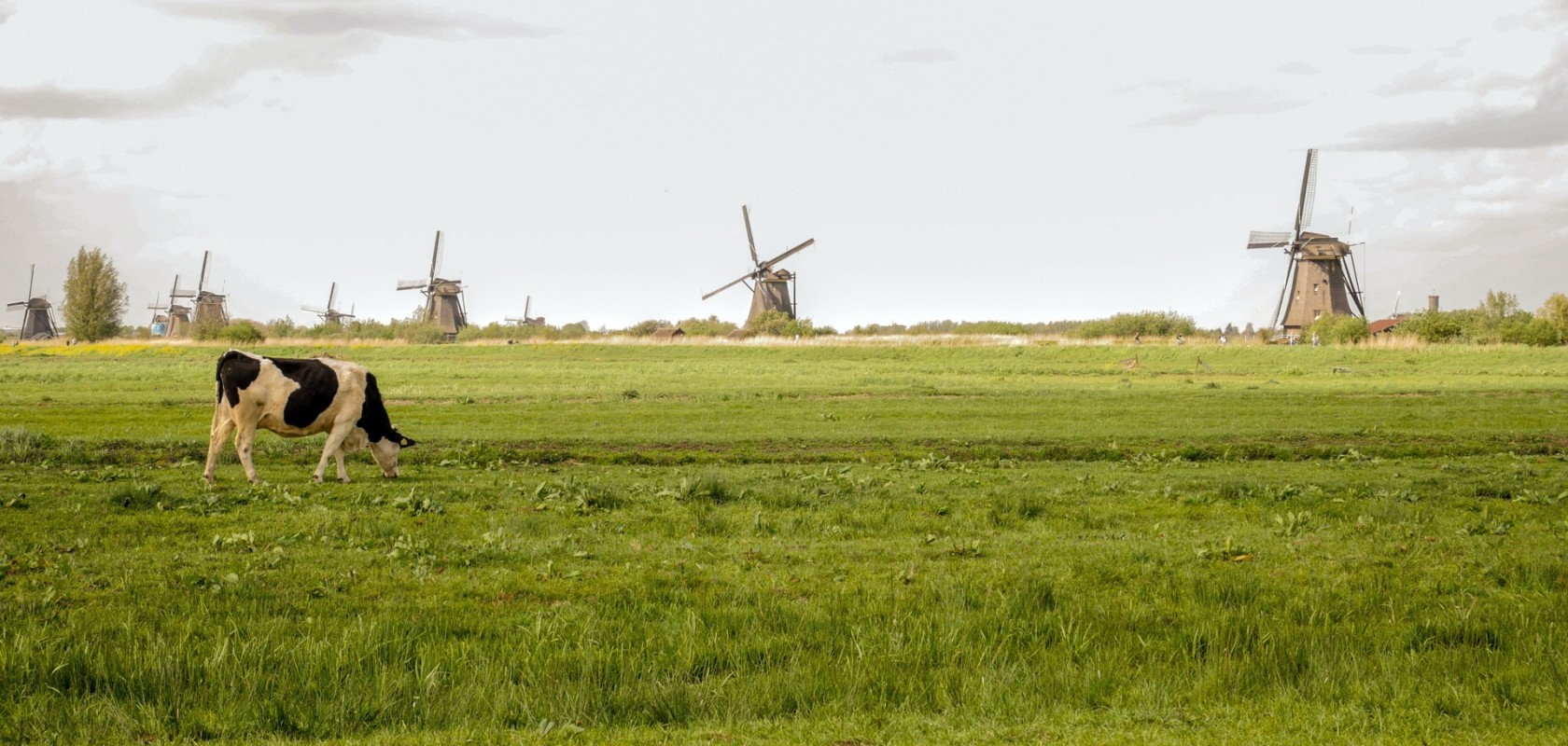 Platteland Nederland.jpg