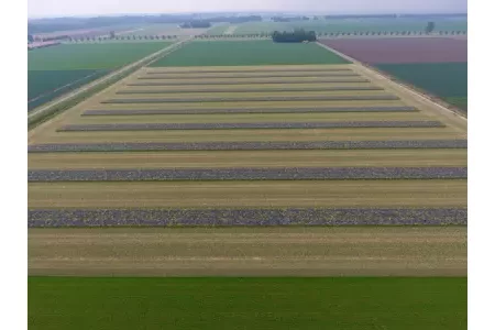 Afbeelding bij perspericht Kringlooplandbouw JPG.jpg.webp