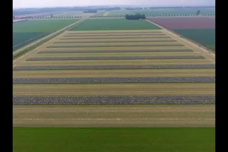 Afbeelding bij perspericht Kringlooplandbouw JPG.jpg.webp