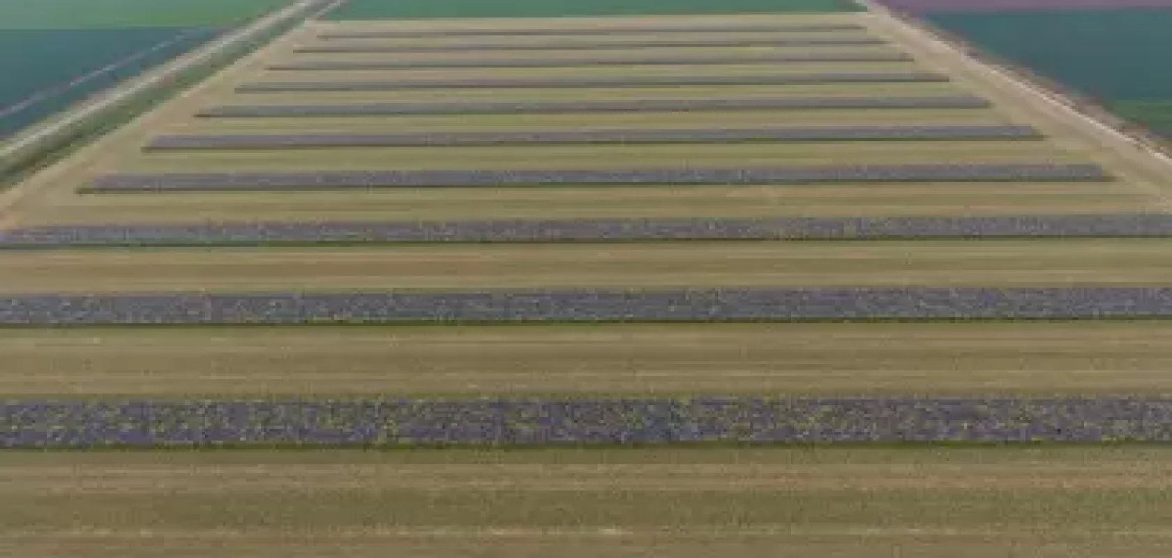 Afbeelding bij perspericht Kringlooplandbouw JPG.jpg.webp