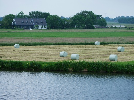 Landschap NL