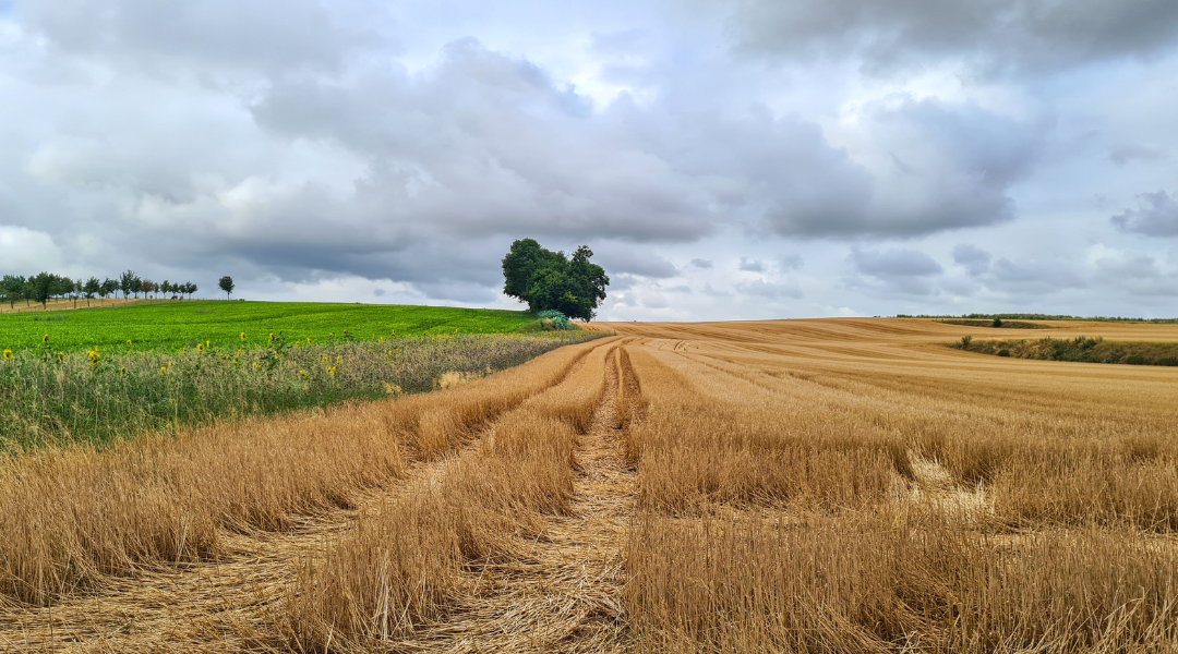 Landbouw pacht