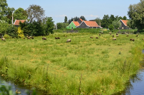 Landschap Groningen