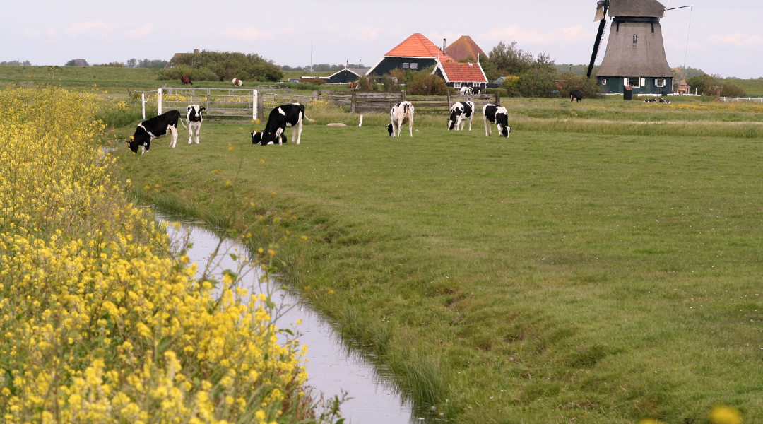 NVR nieuwsbrief ANLb