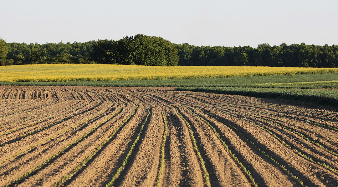 Subsidieregelingen voor agrariërs