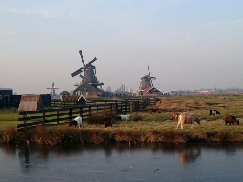 afbeelding nb