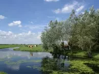 Bodegraven.jpg