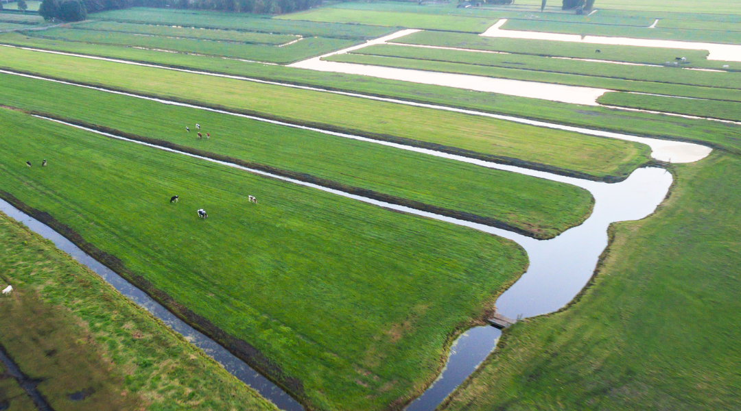 NVR nieuwsbrief juli onteigening